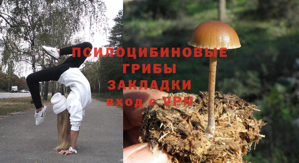 ПСИЛОЦИБИНОВЫЕ ГРИБЫ Елизово