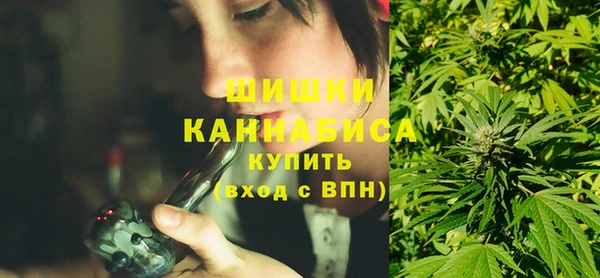 ПСИЛОЦИБИНОВЫЕ ГРИБЫ Елизово