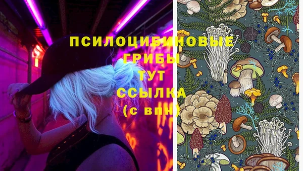 марки lsd Ельня